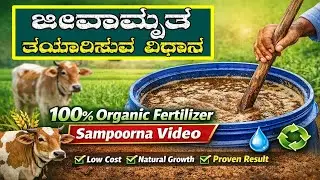 🌱 ಜೀವಾಮೃತ ತಯಾರಿಸುವ ಸಂಪೂರ್ಣ ವಿಧಾನ | ಬೆಳೆಗಳಿಗೆ ಶಕ್ತಿಶಾಲಿ ಜೈವಿಕ ಗೊಬ್ಬರ | Jivamruta Preparation Kannada