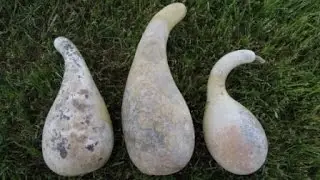 Apple and Penguin Gourds ~  Miriam Joy Video Productions