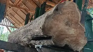 The beauty of the wood processing process in a large sawmill is truly amazing || art wood
