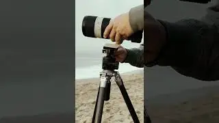 VARI CF-704 Tripod + PBH-45LP Ball Head = Stability #shorts