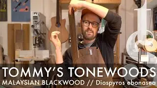 Malaysian Blackwood - Diospyros ebonasea - Tommy's Tonewoods