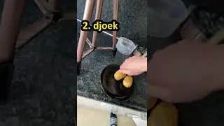 aardappel in magnetron test