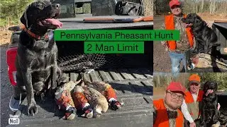 Pennsylvania Pheasant Hunt ( 2 Man Limit!!! )