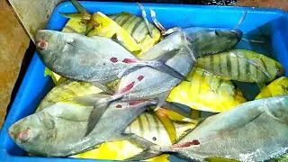 Amazing...skills Bersihkan Ikan Trakulu Kecil Dengan Mudah dan Cepat.