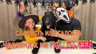 Сладость ИЛИ Гадость Челлендж на Halloween Kroshik Day