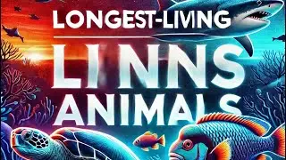 Longest living animals on Earth... how long can you live?