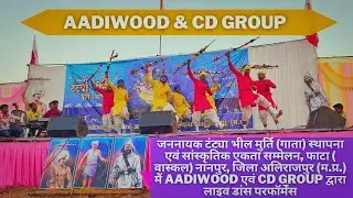 AADIWOOD & CD.GROUP | Live Dance Performance In Phata ( ALIRAJPUR ) | #adivasisong #aadiwood