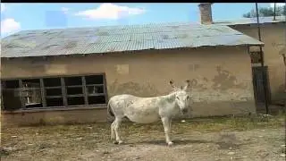 Gürün Karahisar
