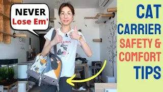 Cat Carrier Safety Check