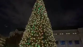 Christmas 2021#Dallas Downtown celebrates Christmas#