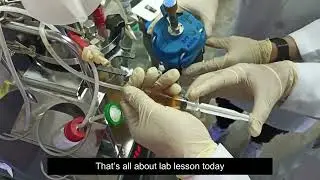 Fed Batch Fermentation of Saccharomyces cerevisiae Based on An Oxygen Spike Lab Scale 2L Bioreactor