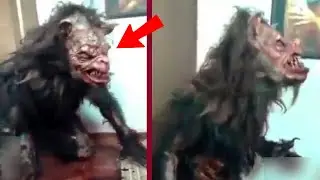 10 Nahuales & Skinwalkers Reales Captados En C&aacute;mara | PARTE 2