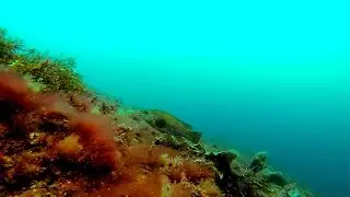 Weather Islands 2014