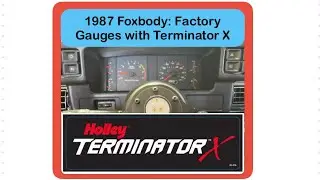 1987 Foxbody Mustang: Keeping Factory Gaiges w/ Terminator X