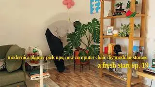 a fresh start | mid century ceramics planters, living room updates + more
