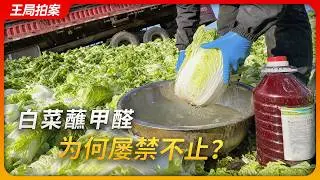 甲醛蘸白菜，为何屡禁不止？｜杨梅泡药｜敌敌畏｜食品安全｜王局拍案20260825  