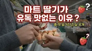 마트 딸기가 유독 맛없는 진짜 이유?