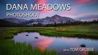 Dana Meadows