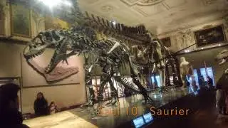 VLOG|| Visiting Natural History Museum in Vienna NHM