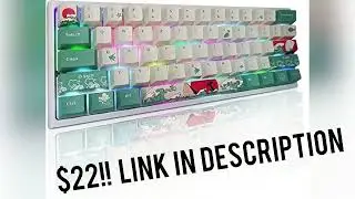 Nice Budget PBT Keycaps!