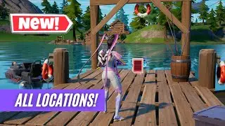 Collect OMNI CHIPS at Camp Cuddle - Omni Sword Quests - Chapter 3 - Season 2