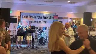 Wedding polka by polka all stars