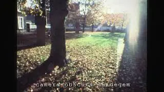6319 De bladeren van de bomen rond de Sint-Barbarakerk werden moe (film super8)./S8-SFH1
