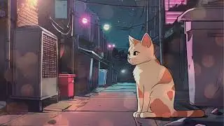 夜更かししたい日のBGM/1時間/作業用/配信用/睡眠