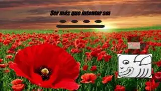 Perro Solar Blanco   23 de Abril 2017   LegadoMaya