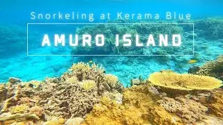 【沖縄 座間味 安室島】ケラマブルーで宇宙遊泳してきた