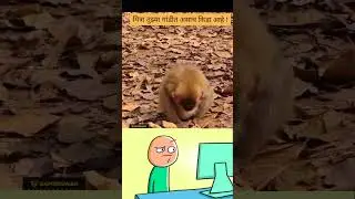 mitra funny marathi video #marathi #maharashtra #marathianimation #viral #viralvideo