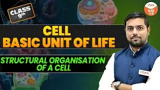 Cell The Basic Unit of Life | Cell Organelles | Class 9| Class 9th Science |