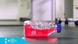 Бутылки лабораторные Protectice, DWK Life Science