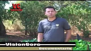 Lucas,-laborterapia