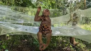 Cutis Aborigines Harvest Forest Fruit Survive ! Camping Solo