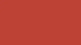 Fox Red Color Screen – 8 Hours | Full Screen Screensaver | No Sound