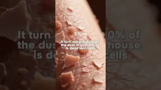 It turn out that 80% of the dust in your house is dead skin cells #wisdomstory #knowledge