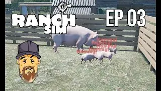 We got baby piggies! Ranch Simulator Ep 03  Walasy Gaming