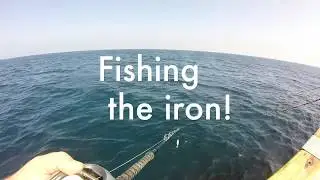 Oceanside 95 Yellowfin Tuna and Dorado