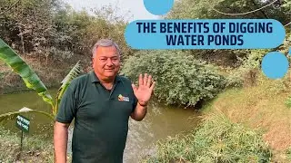 The benefits of digging water ponds