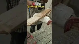 Cricket Bat Cleaning