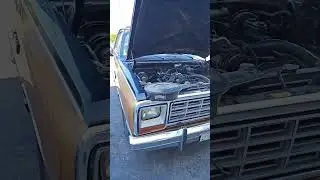 Clean untouched 1985 D150