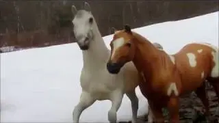 -Rayven- Breyer Horse Movie [