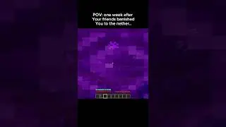 POV: one week after your friends banished you in the nether #shorts #minecraftshorts #viralshorts ￼