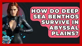 How Do Deep Sea Benthos Survive In Abyssal Plains? - The Marine Life Explorer