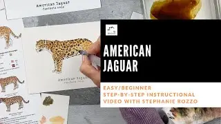 Easy jaguar watercolor tutorial: EASY/beginner.Nature Sketch Crate step-by-step American Jaguar.