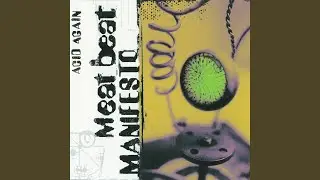 Acid Again (Freddy Fresh Mix)