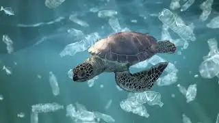 Beautyrest Harmony Lux Mattress helps clean the oceans from plastic bottles!
