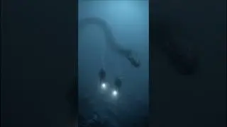 50-Foot Sea Serpent Filmed by Divers in the Mariana Trench