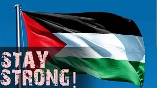 Stay Strong - Zhafat | Song For Palestine, Song For Gaza